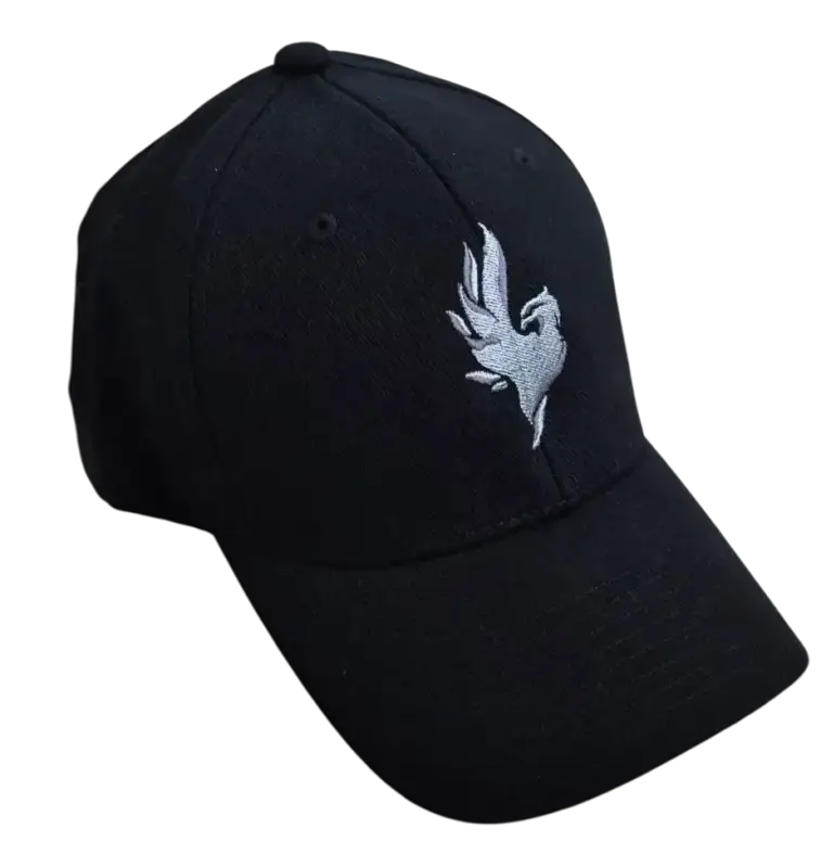 Kšiltovka Phoenix Flexfit uni/black Kšiltovka Phoenix Flexfit uni/black L/XL