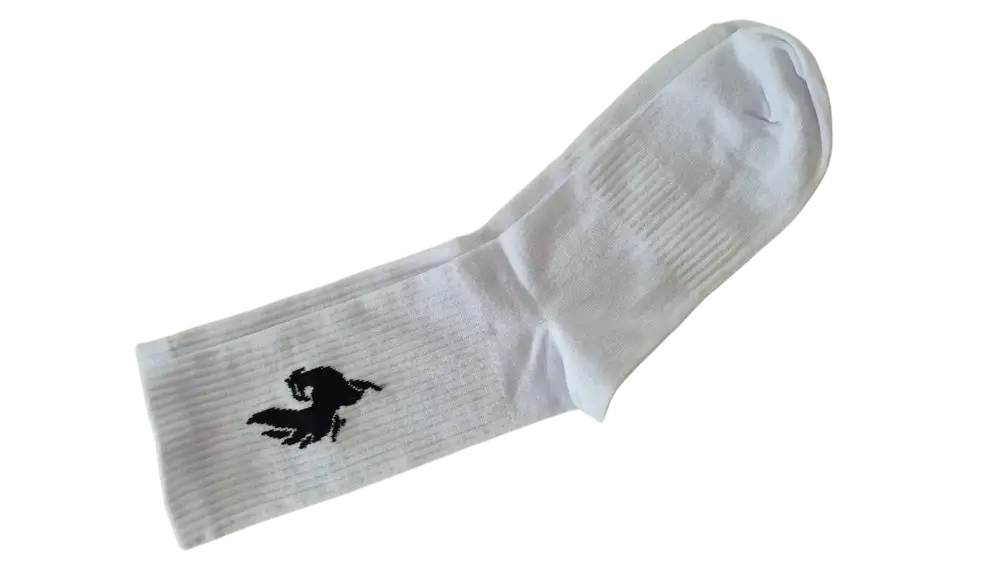 Ponožky Phoenix uni/white Ponožky Phoenix uni/white 38/40