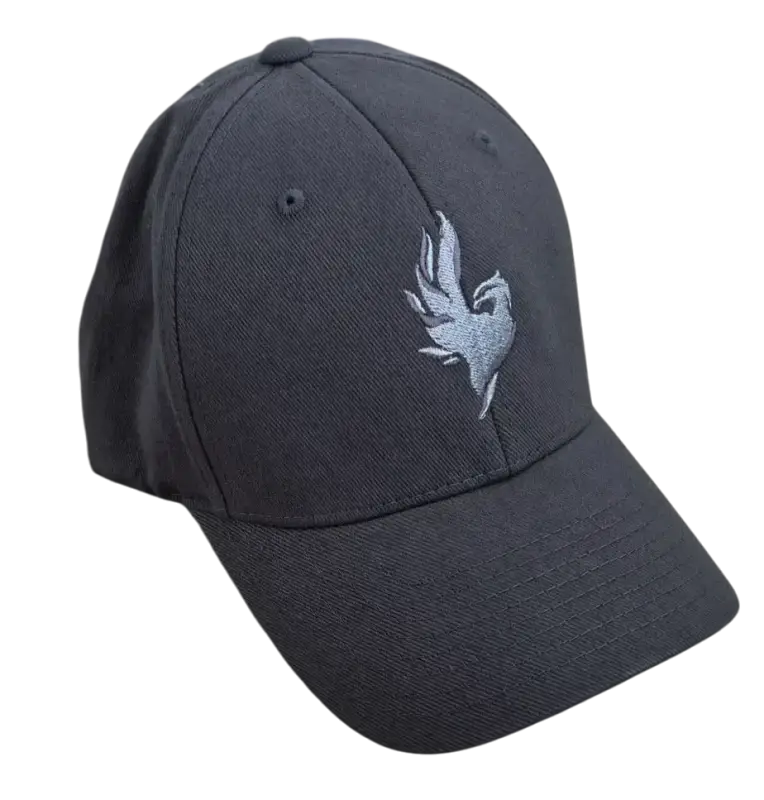Kšiltovka Phoenix Flexfit uni/grey