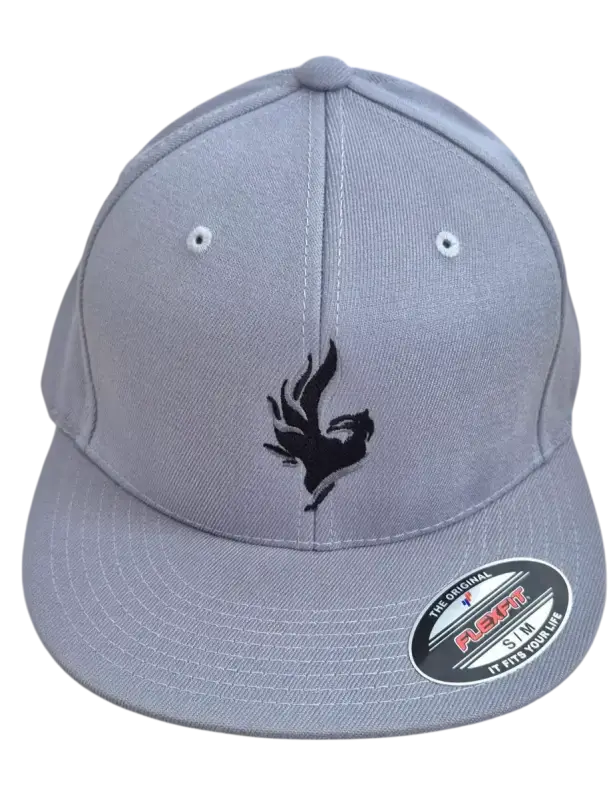 Kšiltovka Phoenix Snapback Flexfit uni/grey Kšiltovka Phoenix Snapback Flexfit uni/grey S/M