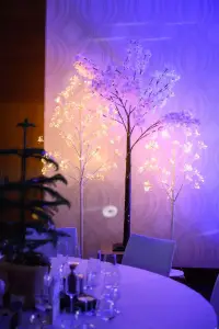 Velký světelný strom – Dominanta každého prostoru, ideální pro vytvoření slavnostní atmosféry. Dostupné 4 ks.